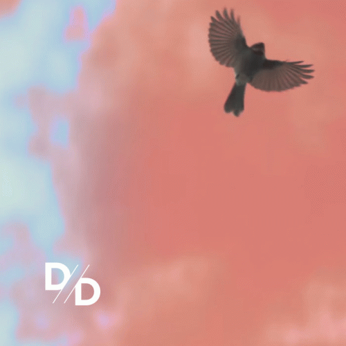 Divide And Dissolve : Far from Ideal (Chelsea Wolfe Remix)